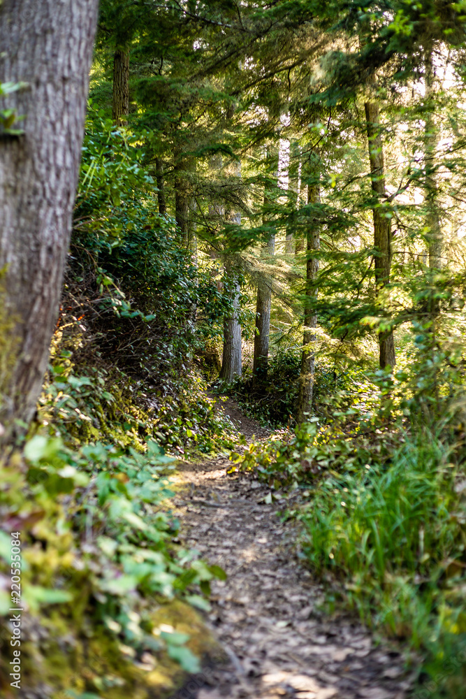 hiking trail hiking trail
