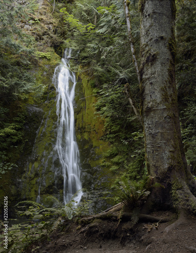 Madison Creek Falls, Olympic National Park, Washington