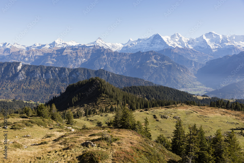Obraz premium Autumn alpine landscape on the Niederhorn in the Bernese Oberland in Switzerland with Eiger, Moench and Jungfrau in the background