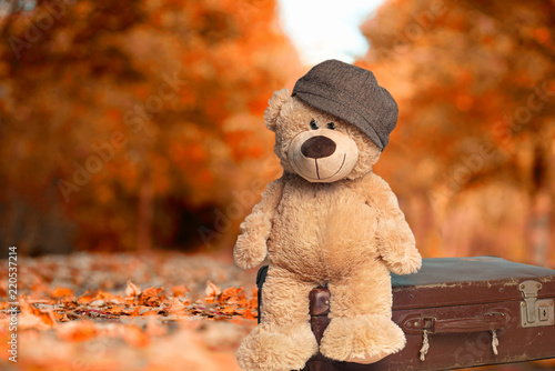 Teddy mit Koffer im Herbst im Park