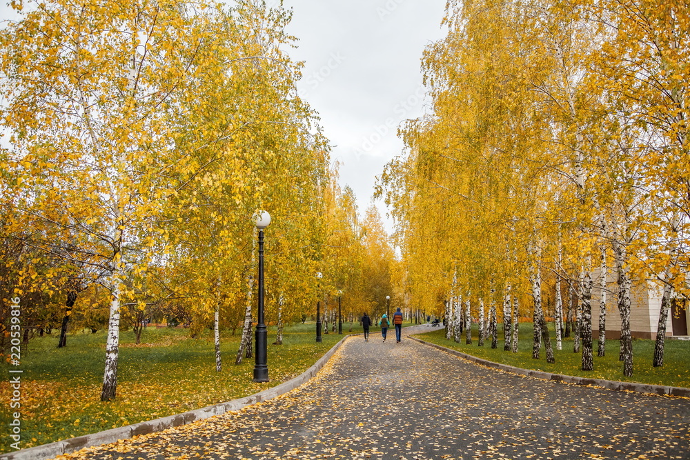 Parkway in autumn with gold trees.