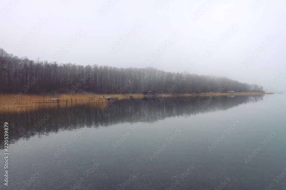 Fototapeta premium See im Winter - Schilf - Spiegelung im Wasser