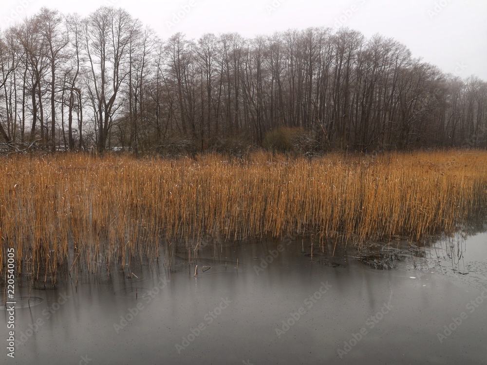 Winter | See im Nebel mit Eis | Plauer See | Mecklenburg