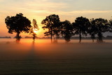 Sunrise in the Netherlands state Overijsel