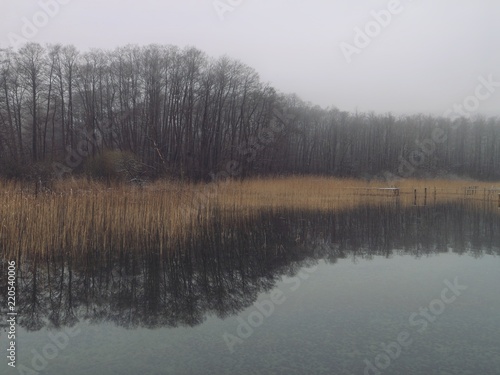 Winter | See im Nebel mit Eis | Plauer See | Mecklenburg