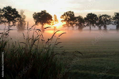 Sunrise in the Netherlands state Overijsel photo