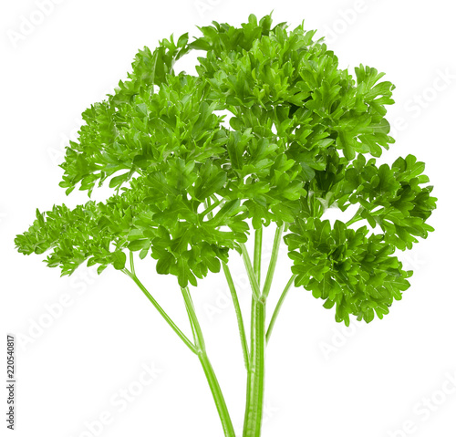 Foto parsley isolated on white background, full depth of field