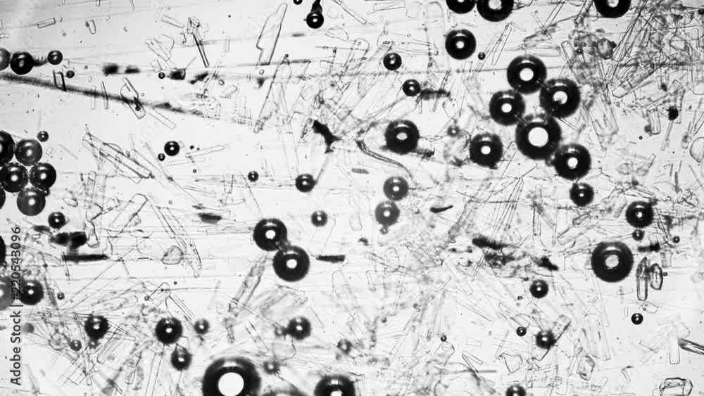 Bleach liquid flowing filmed under a microscope super macro shot Bleach liquid flowing filmed under a microscope super macro shot