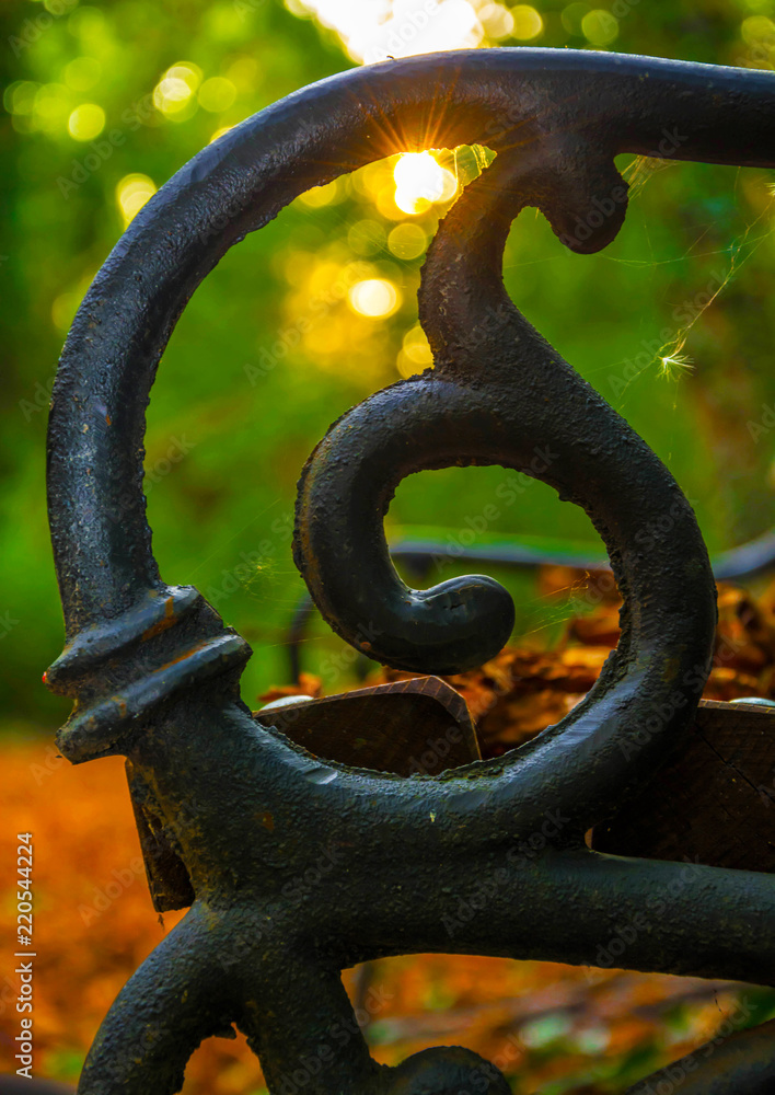 Wooden bench with wrought-iron legs and metal black trash can in the park on a background of green lawn and sunset. Wooden bench with wrought-iron legs and metal black trash can in the park on a background of green lawn and sunset.