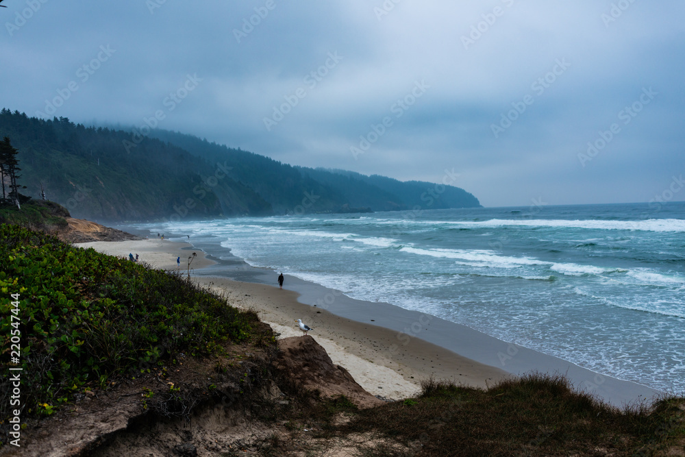 Obraz premium Cape Lookout Oregon
