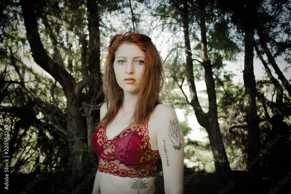 Naklejka premium on the woods