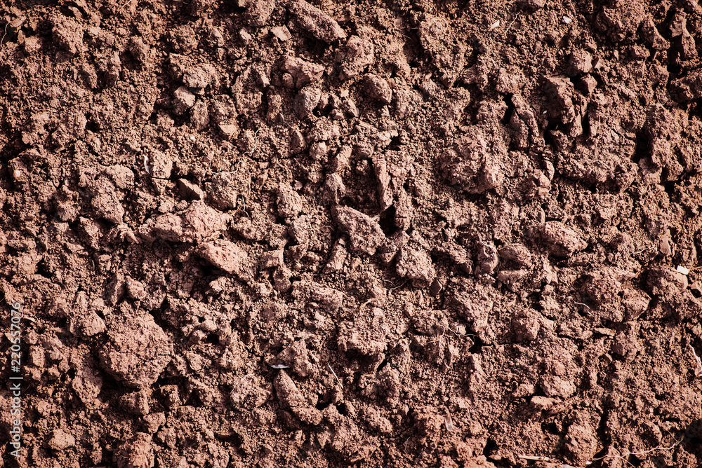 Soil, cultivated dirt.