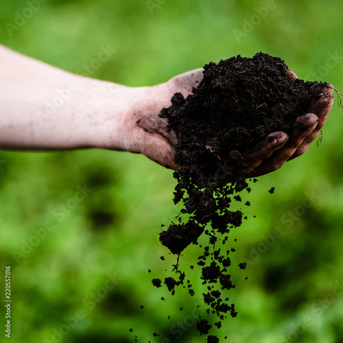 Soil, cultivated dirt.