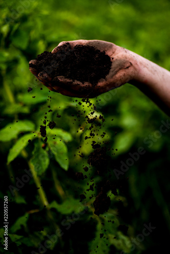 Soil, cultivated dirt.