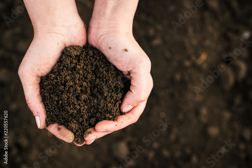Soil, cultivated dirt.