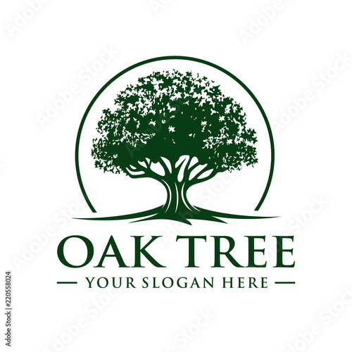 Oak Tree Logo Fototapet
