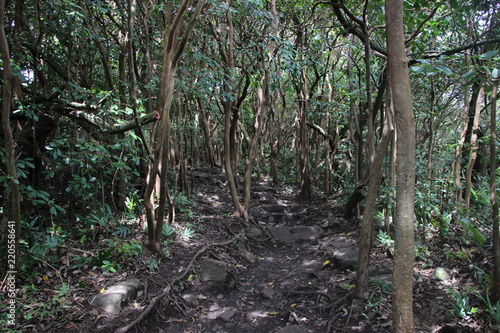 Kapahulu o´he o Gulch, seven secred pools Maui photo