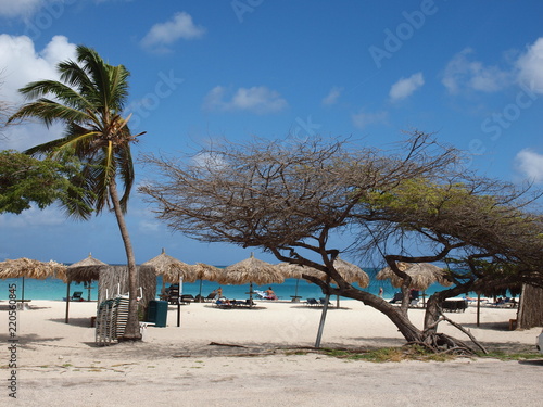 Fototapeta Naklejka Na Ścianę i Meble -  Eagle Beach, Aruba