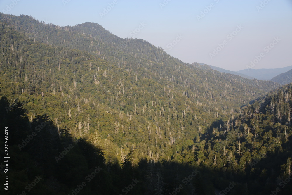 Naklejka premium Smokey Mountain National Parks