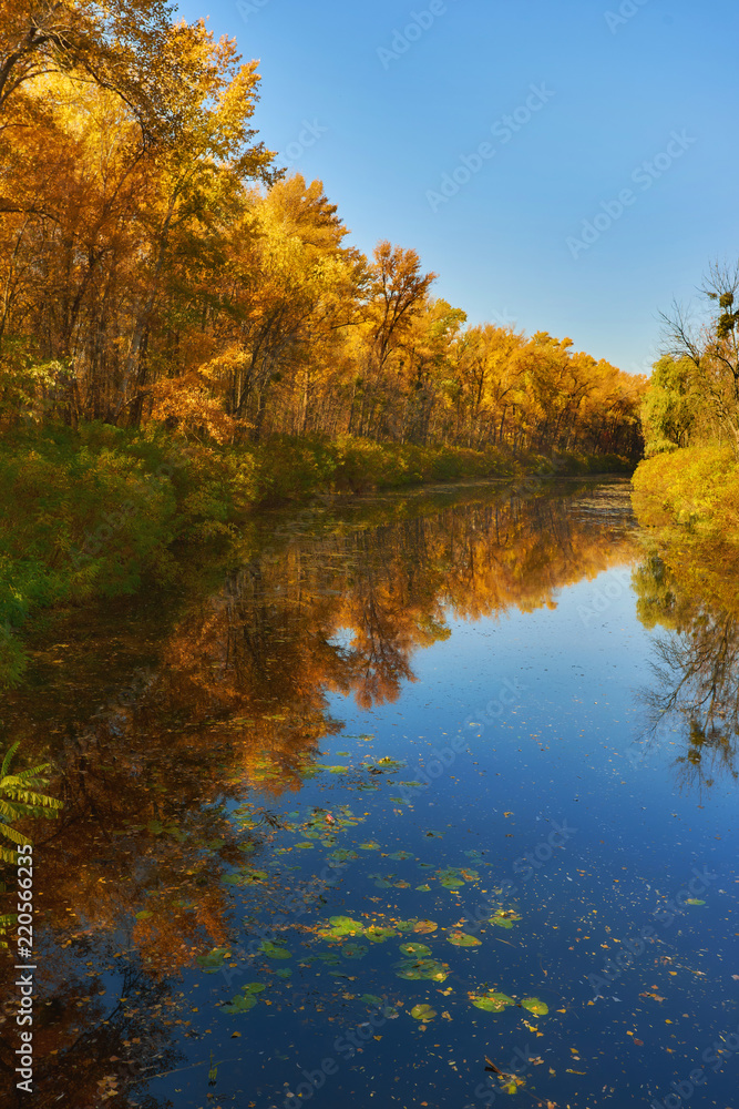 autumn colorful trees under morning sunlight reflecting in river