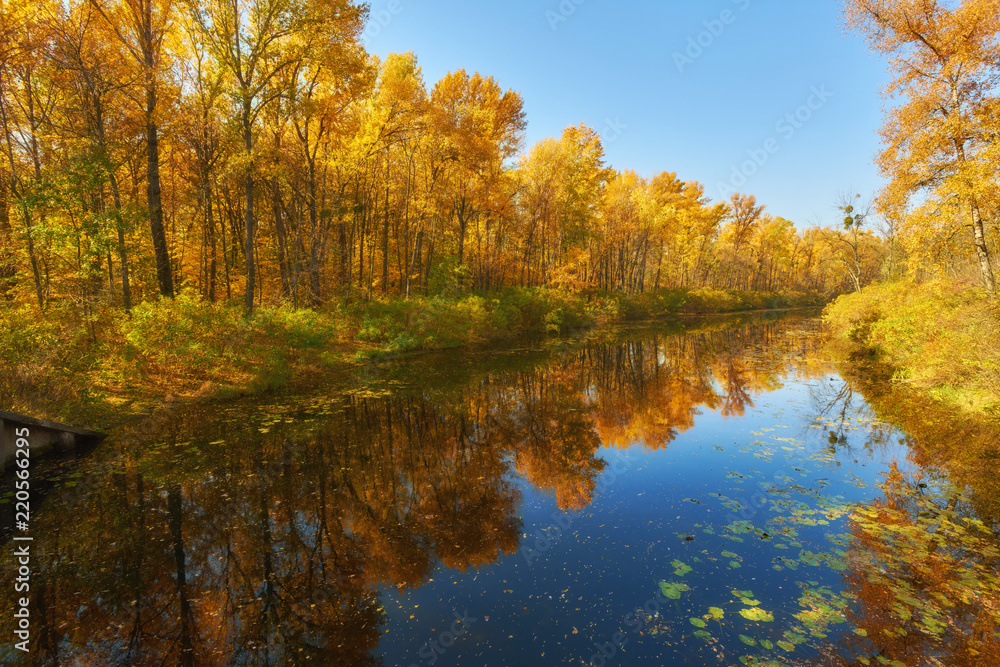 autumn colorful trees under morning sunlight reflecting in river