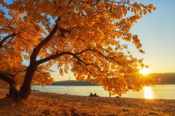 Wandcirkels Herfst Herfstbomen langs rivier met bladeren  © Ryzhkov Oleksandr
