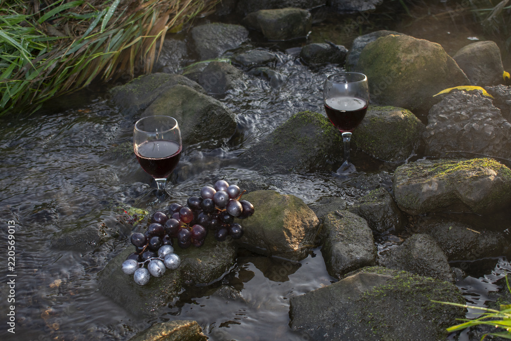 Fototapeta premium Rotweingläser und roten Weintrauben auf Steinen im fließenden Gewässer.