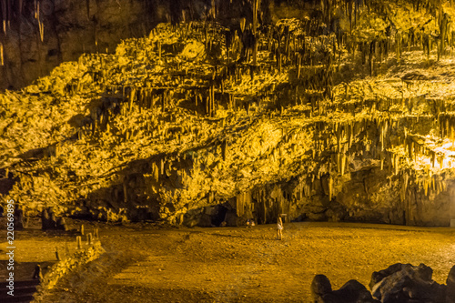 Drogarati cave with remarkable formations of stalactites and stalagmites in Sami, Kefalonia, Greece. It was discovered when a strong earthquake caused a collapse that revealed the cave’s entrance