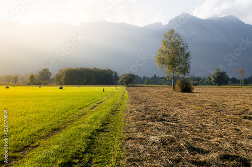 Change of seasons in the fields of Liechtenstein