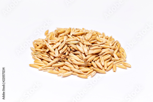 Macro pile of unpeeled raw oat isolated at white background.