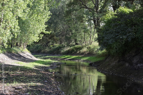 river landscape
