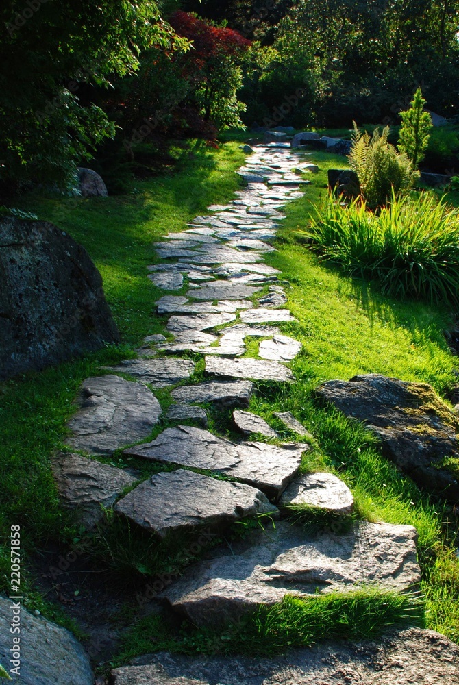 Kamienna ścieżka w ogrodzie - obrazy, fototapety, plakaty 