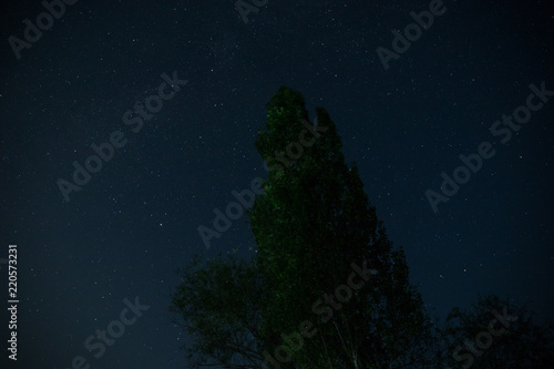 Landscape of night forest with green meadow in bright starry night or view of milky way in the woodland