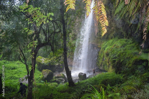 General China waterfall in Ragia Forest, Aberdare Ranges, Kenya