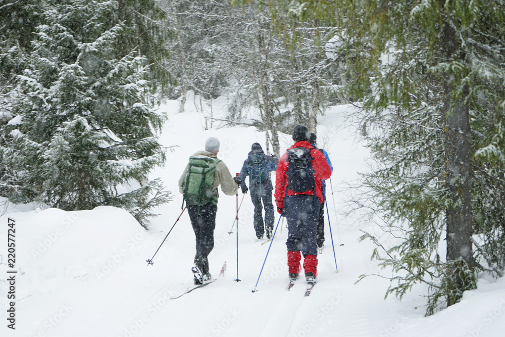 Cross country skiers. Cross country skiers.