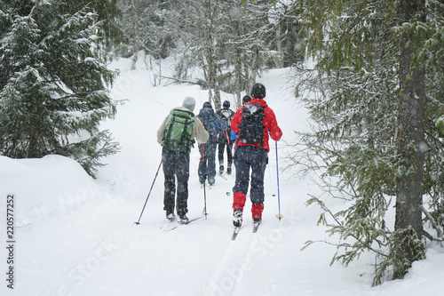 A group of cross country skiers.