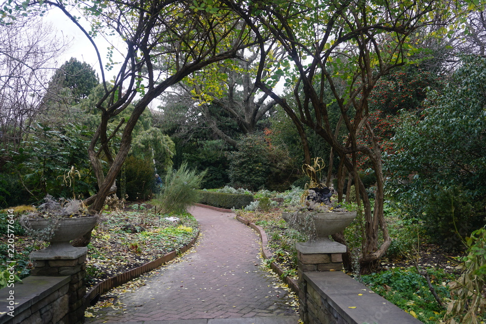 Brooklyn Botanical Garden In Summer