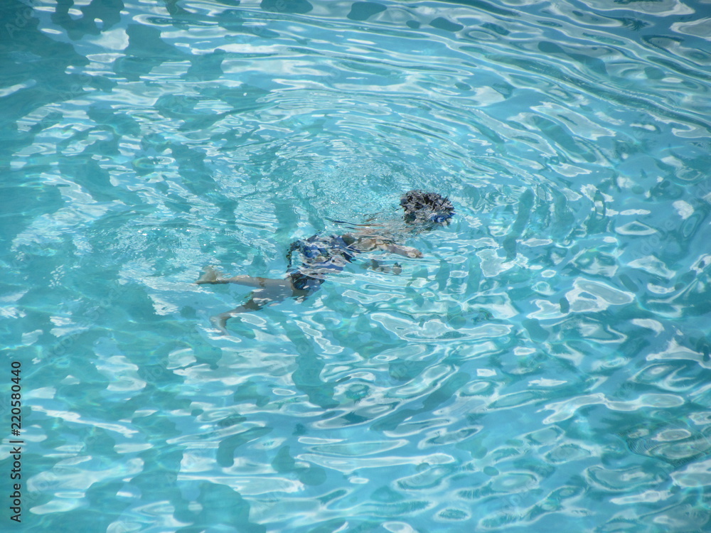 Obraz premium Swimming