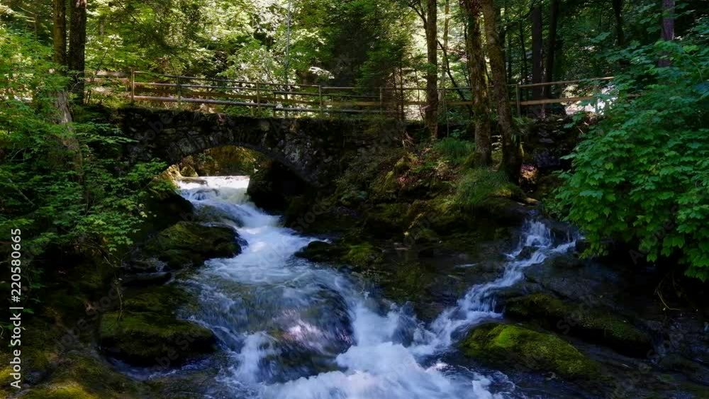 Waterfall in the forest at summer, Switzerland Waterfall in the forest at summer, Switzerland