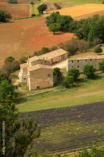 Fototapeta Naklejka Na Ścianę i Meble -  Lavendelfeld in der Provence