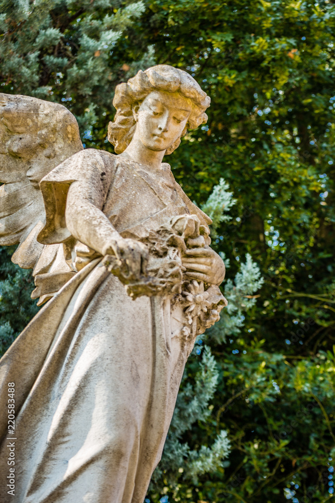 Fototapeta premium statue of angel