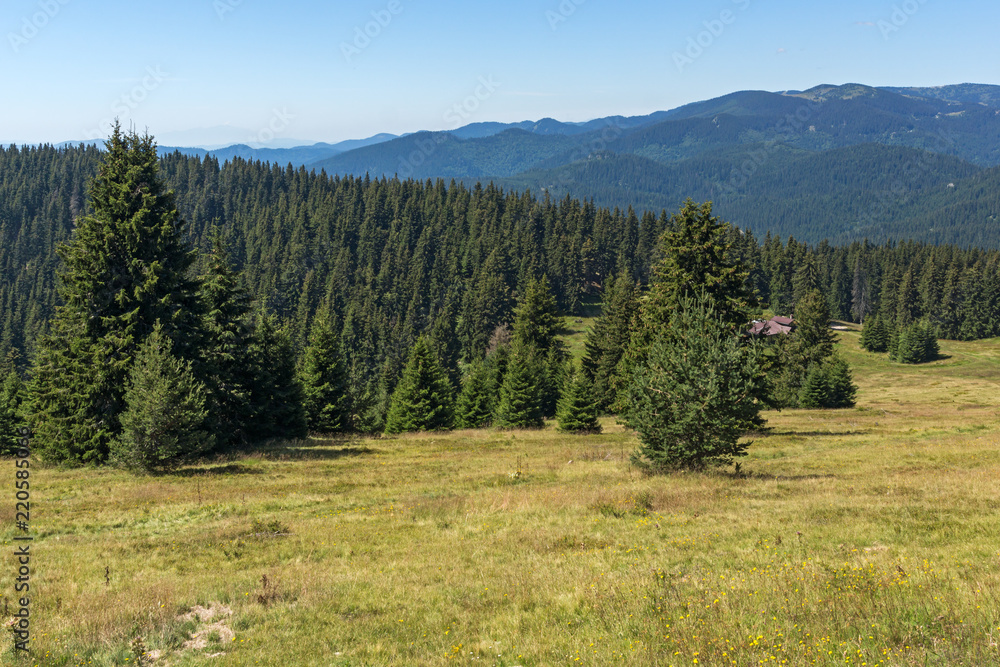 Amazing Summer landscape of Rhodope Mountains near Snezhanka peak and ski resort Pamporovo, Smolyan Region, Bulgaria Amazing Summer landscape of Rhodope Mountains near Snezhanka peak and ski resort Pamporovo, Smolyan Region, Bulgaria