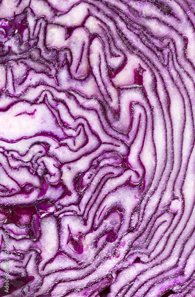 half-cut violet cabbage half-cut violet cabbage