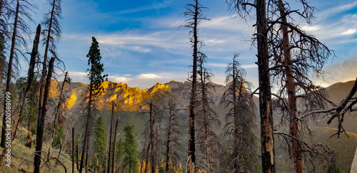 Dawn on the Mountainside