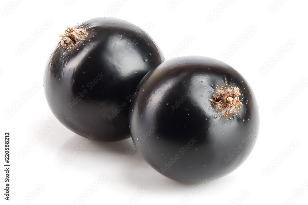 two black currant isolated on white background two black currant isolated on white background