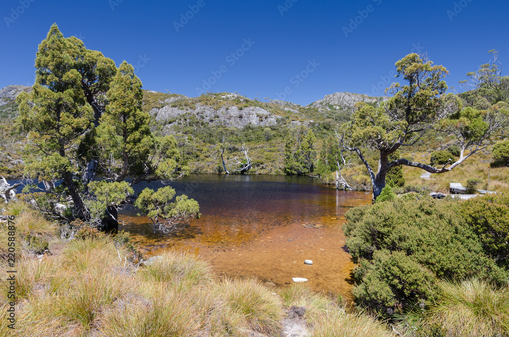 Lake Lilla surrounded by trees and rocky hills. The waters of the lake are clear and tannin-coloured, and it lies within the Cradle Mountain - St Clair National Park, Tasmania, Australia.