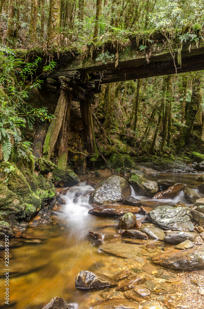 Fototapeta premium Part of the abandoned, North East Dundas Tramway along the Montezuma Falls Track, Tasmania, Australia. An old, wooden bridge across a small stream. 