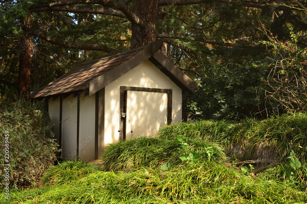 Small House In The Middle Of The Woods