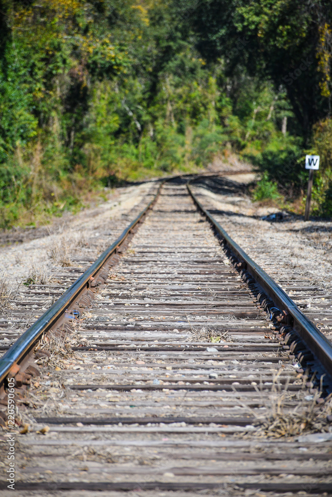 Train Tracks disappearing into the distance woods Train Tracks disappearing into the distance woods
