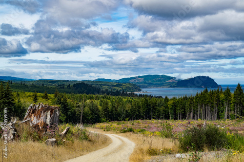 Dirt road near the Neah Bay on the Olympic Peninsula